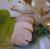 Foie Gras mi-cuit / vide 